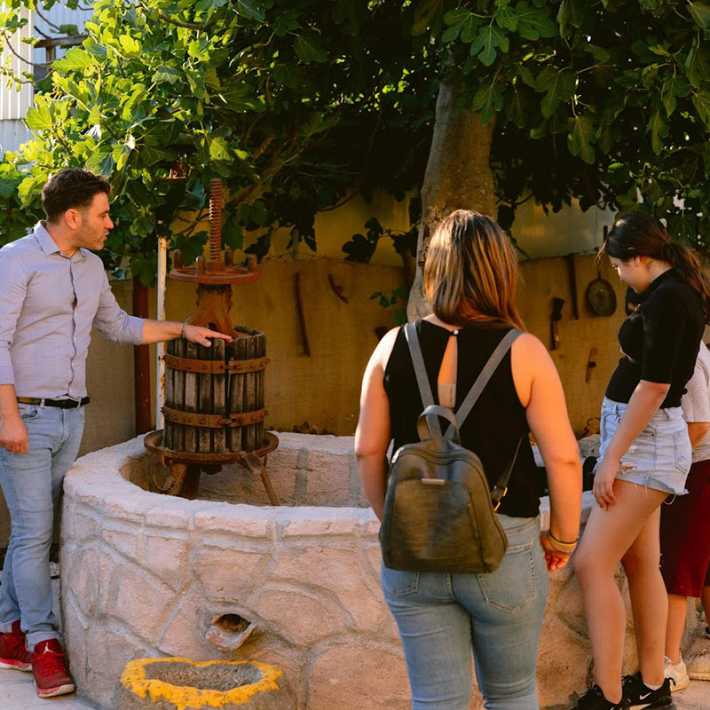 Andreou Winery Poros