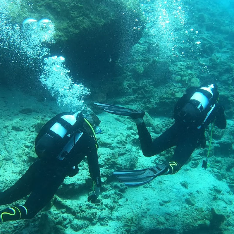 Dive in Blue