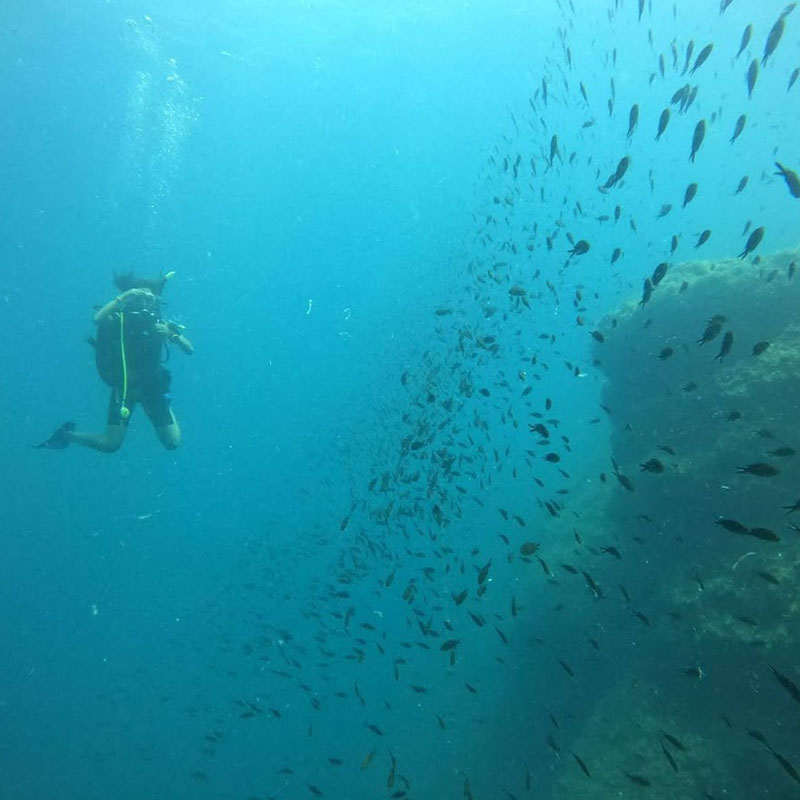 Dive in Blue