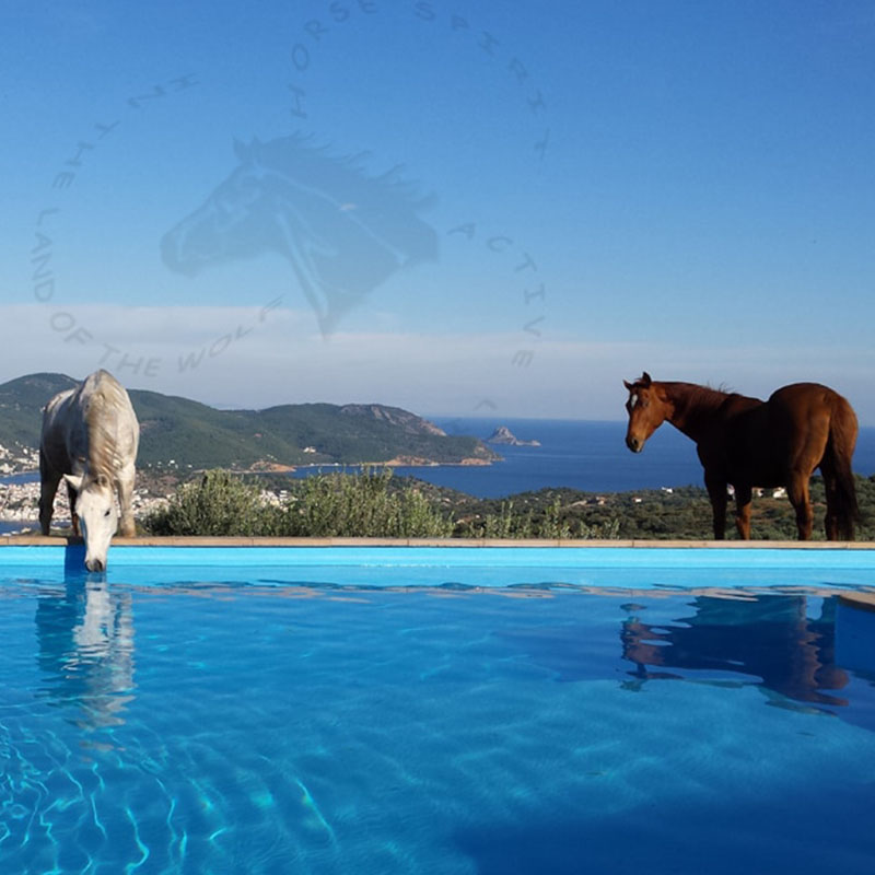 In The Land Of The Wolf Poros