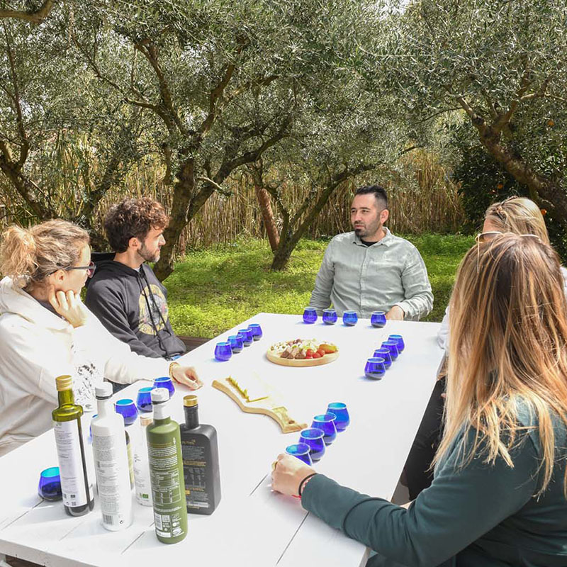 Mazema Olive Oil Tasting