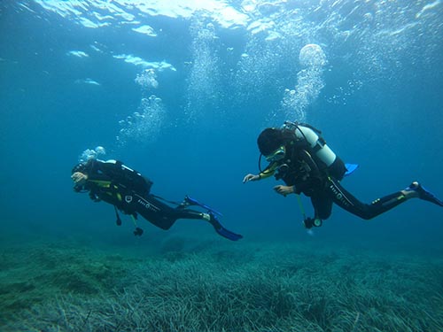 Dive in Blue