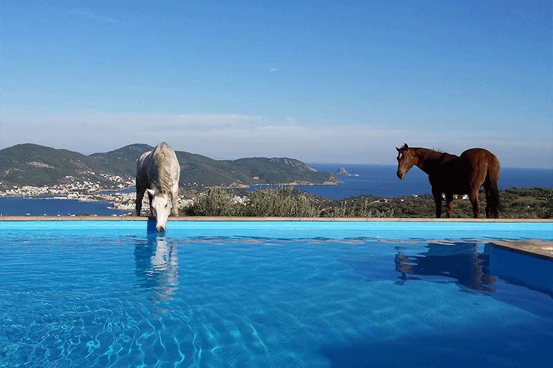 Activities in Poros